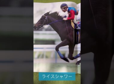 【天皇賞・春】当日のレーシングプログラムから勝ち馬を解け！