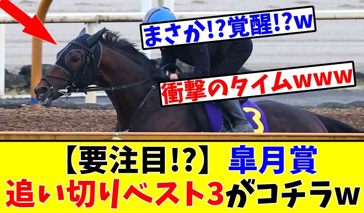 【皐月賞】【要注目!?】追い切りベスト3がコチラwww