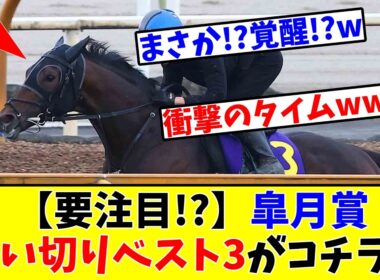【皐月賞】【要注目!?】追い切りベスト3がコチラwww