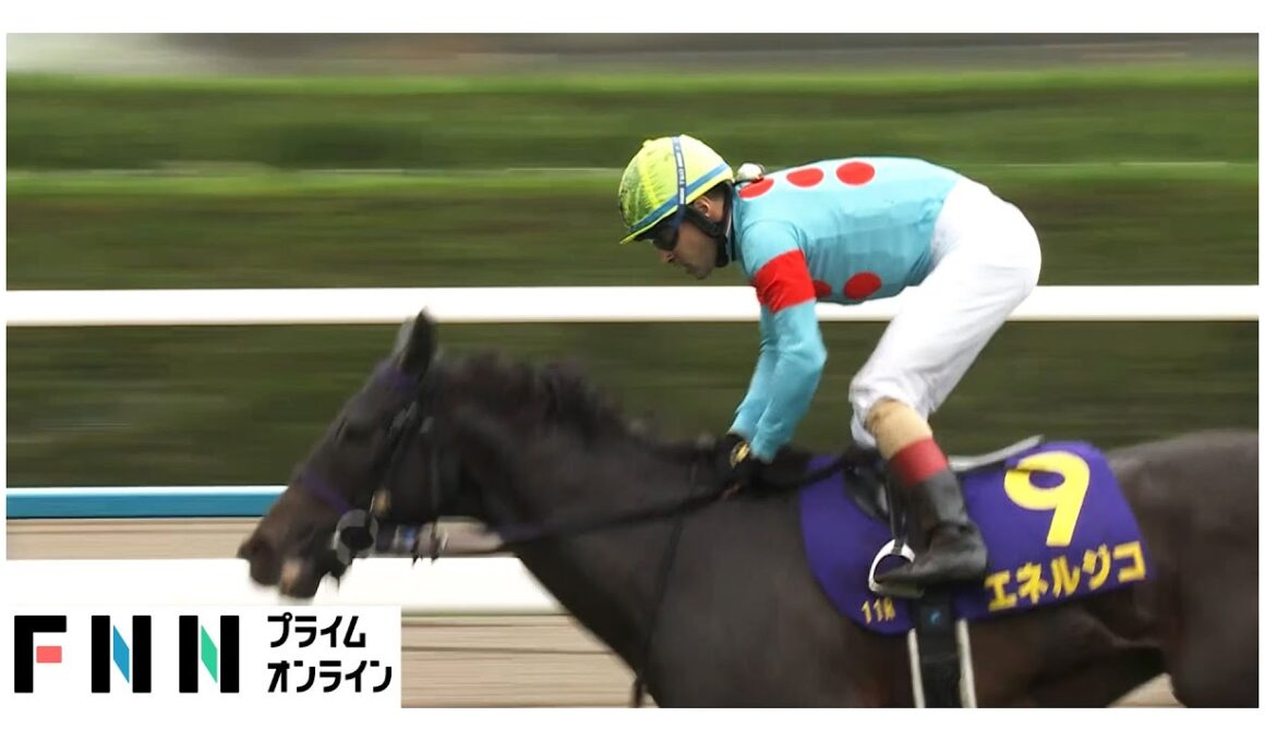 【菊花賞・GⅠ】C.ルメール騎手が史上初の菊花賞３連覇！“令和の菊男”クラシック最終戦を制す