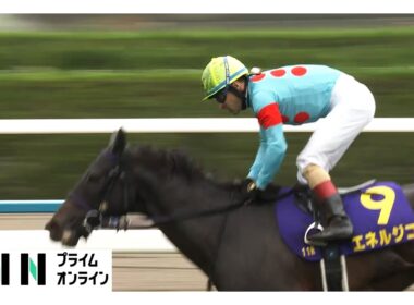 【菊花賞・GⅠ】C.ルメール騎手が史上初の菊花賞３連覇！“令和の菊男”クラシック最終戦を制す