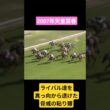 【2007年天皇賞春】苦難の秋を乗り越え淀の舞台で古馬の頂点へ #競馬 #メイショウサムソン#石橋守#天皇賞春 #shorts
