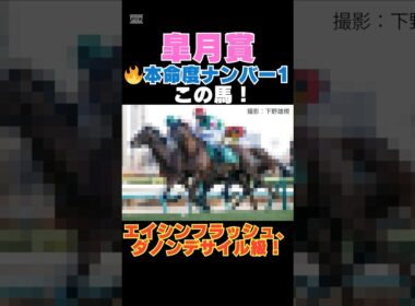 【皐月賞2026】本命度ナンバー1はこの馬🔥エイシンフラッシュ、ダノンデサイル級！