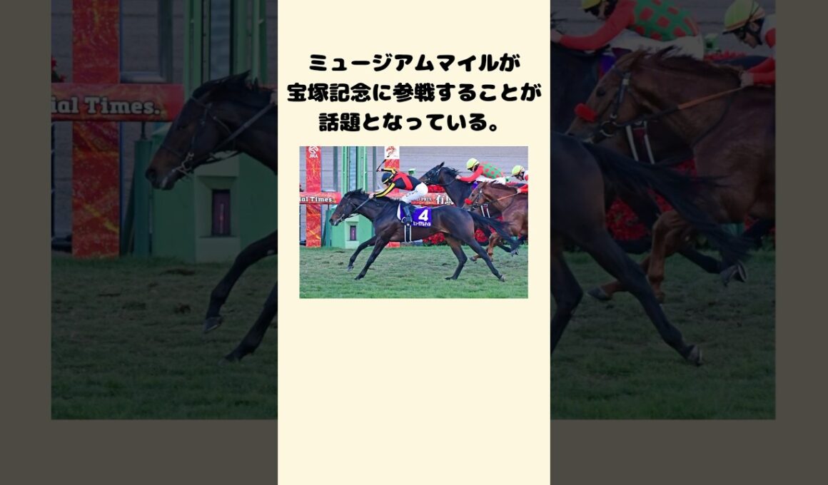 ミュージアムマイル宝塚記念参戦！！　#競馬　#競馬予想　#中央競馬予想 #jra #宝塚記念　#有馬記念　#グランプリ　#速報　#tiktok #shorts #バズれ　#ミュージアムマイル