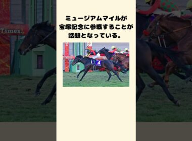 ミュージアムマイル宝塚記念参戦！！　#競馬　#競馬予想　#中央競馬予想 #jra #宝塚記念　#有馬記念　#グランプリ　#速報　#tiktok #shorts #バズれ　#ミュージアムマイル