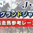 【参考レース】2026年 中山グランドジャンプ｜JRA公式