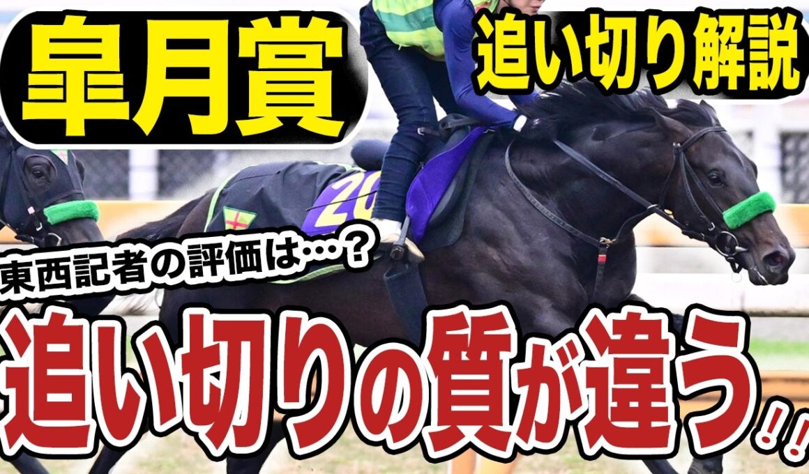【皐月賞２０２６】追い切り解説！前走と比べて追い切りの質が違う…!各出走馬の追い切りを東西記者が徹底解説します！《東スポ競馬》