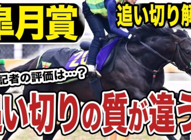 【皐月賞２０２６】追い切り解説！前走と比べて追い切りの質が違う…!各出走馬の追い切りを東西記者が徹底解説します！《東スポ競馬》