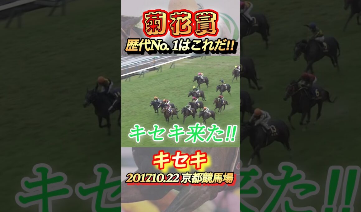菊花賞歴代No. 1レースはこれだ！　#競馬  #菊花賞  #キセキ  #shorts