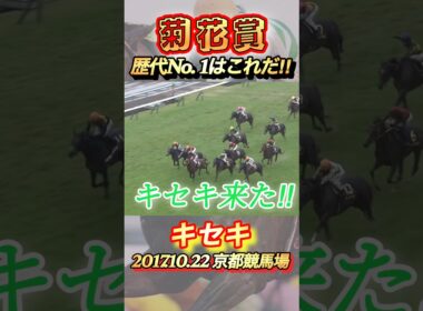 菊花賞歴代No. 1レースはこれだ！　#競馬  #菊花賞  #キセキ  #shorts