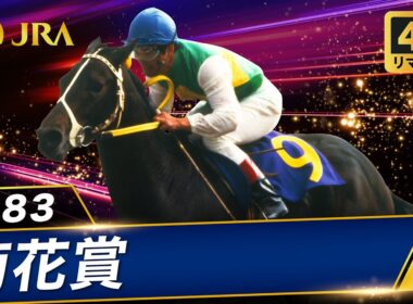 【4Kリマスター】1983年 菊花賞 | ミスターシービー | JRA公式