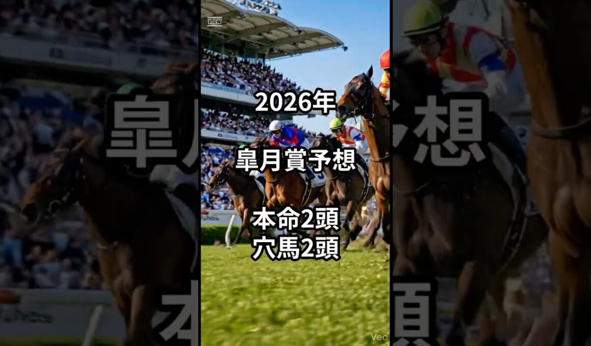 2026年皐月賞予想 #競馬 #競馬予想#皐月賞