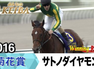 【胸熱！！Winning Re:Run】今週末10月26日は菊花賞・GⅠ！サトノダイヤモンドが勝利した2016年をプレイバック！
