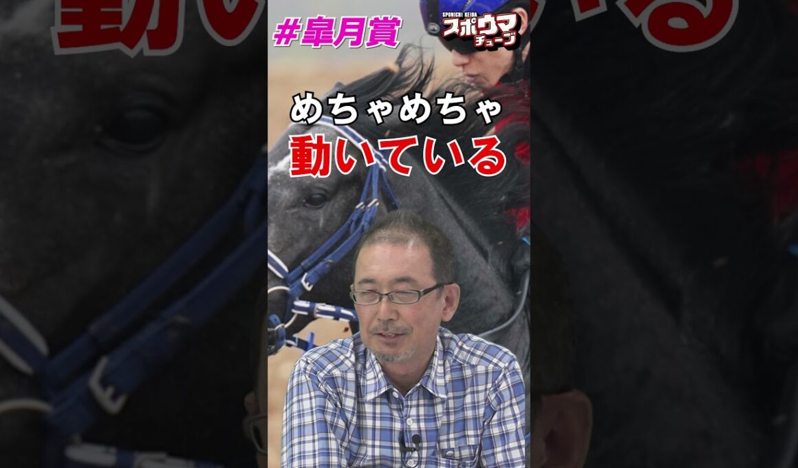 【皐月賞】鳥谷越記者の本命は！ #shorts #競馬予想