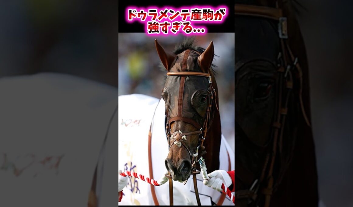 ドゥラメンテ産駒が強すぎる…【競馬反応集】 #菊花賞 #エネルジコ #ドゥラメンテ #ドゥラメンテ産駒
