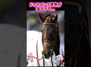 ドゥラメンテ産駒が強すぎる…【競馬反応集】 #菊花賞 #エネルジコ #ドゥラメンテ #ドゥラメンテ産駒