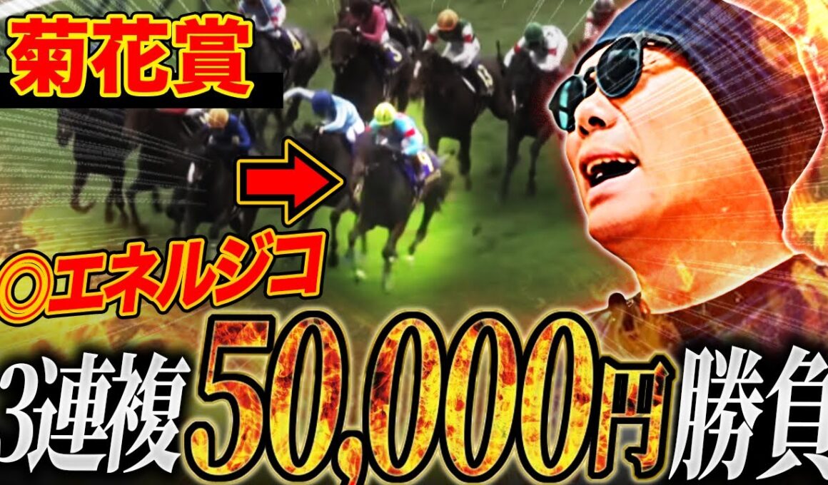 【菊花賞 2025】"クラシック三冠で”帯狙い”賭博生活者が狙う、オッズ妙味がある馬券術【競馬】