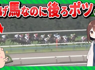 【どうして逃げないの？】菊花賞マイユニバースが後ろから行った理由