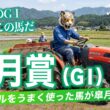 【皐月賞 競馬予想】馬券生活者の競馬予想