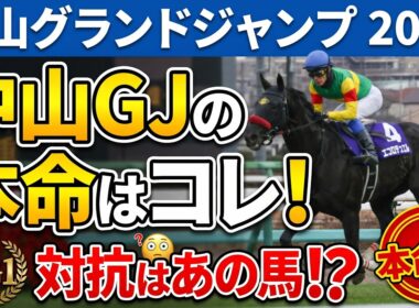 【中山グランドジャンプ2026 競馬予想】ほぼ3分でわかる!?今年の中山グランドジャンプで絶対に外せない3つのポイントと予想について