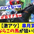 【皐月賞】【激アツ】穴馬ならこの馬が狙い目!?www