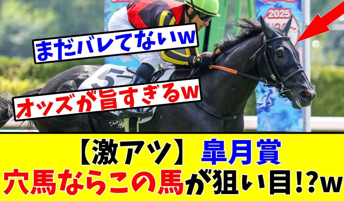 【皐月賞】【激アツ】穴馬ならこの馬が狙い目!?www
