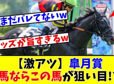 【皐月賞】【激アツ】穴馬ならこの馬が狙い目!?www