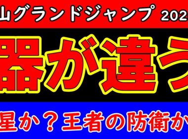 中山グランドジャンプ2026予想｜初の障害全頭診断！ゆるく楽しむJG1考察＆推し馬探し