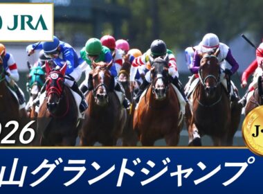 2026年 中山グランドジャンプ（J・GⅠ） | 第28回 | JRA公式