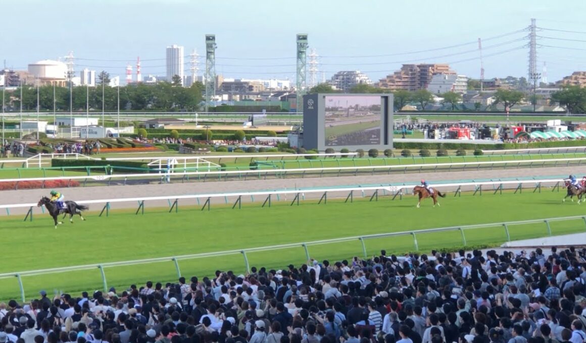 《大差レコード》【現地】エコロデュエル 草野太郎 2025 中山グランドジャンプ