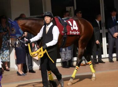 NHKマイルカップの切符を掴むためディールメーカーと戸崎圭太騎手が挑むニュージーランドT、パドック映像。　#競馬