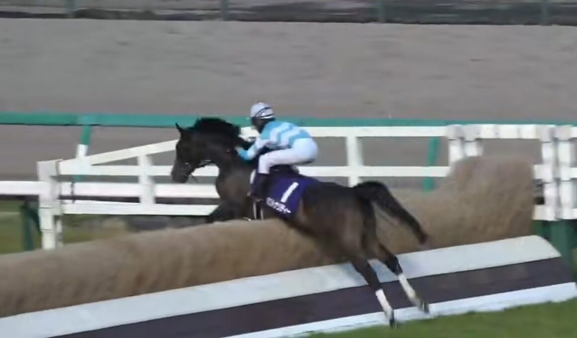 【J・GⅠで紅一点・シンガリ入線のポリトナリティー号（水沼元輝騎手）が大きな拍手の中、見事に完走∶タイトル詐欺!?】※中山GJ　1着エコロデュエル号（草野太郎騎手）2026年4月18日（土）中山競馬場