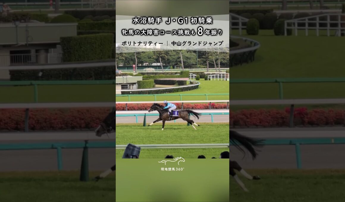 水沼騎手J・G1初騎乗 牝馬の大障害コース挑戦も8年振り｜ポリトナリティー 中山グランドジャンプ 水沼元輝 #競馬 #現地映像 #水沼元輝 #ポリトナリティー #中山グランドジャンプ