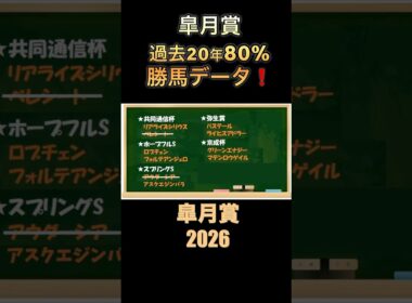 これが20年80%の皐月賞勝馬データ‼️#皐月賞2026 #競馬 #過去10年 #過去傾向