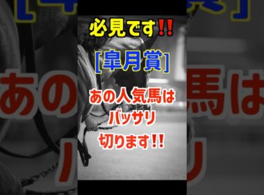 【皐月賞2026 予想】グリーンエナジーは買いません