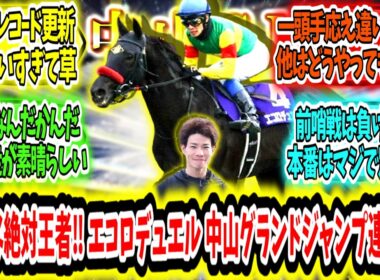 『これは新たな絶対王者‼ エコロデュエル レコードで中山グランドジャンプ連覇ァ‼』に対するみんなの反応【競馬の反応集】