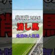 【皐月賞 2026 消し馬】※危険な人気馬に要注意