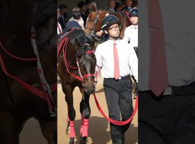 NHKマイルカップの切符をかけて挑むニュージーランドT　2026年 ニュージーランドトロフィー (GII) 出馬表​中山競馬場 / 芝1600m　#競馬