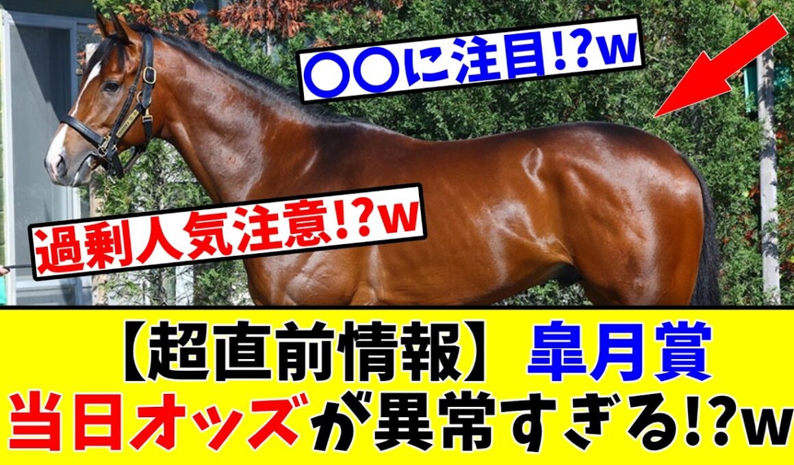 【皐月賞】【超直前情報】皐月賞の当日オッズが前代未聞レベルで異常すぎる!?www