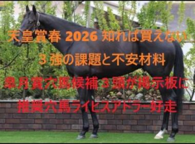 天皇賞春　知れば買えない３強の課題と不安材料　皐月賞は穴馬候補３頭が掲示板に　穴馬ライヒスアドラー好走