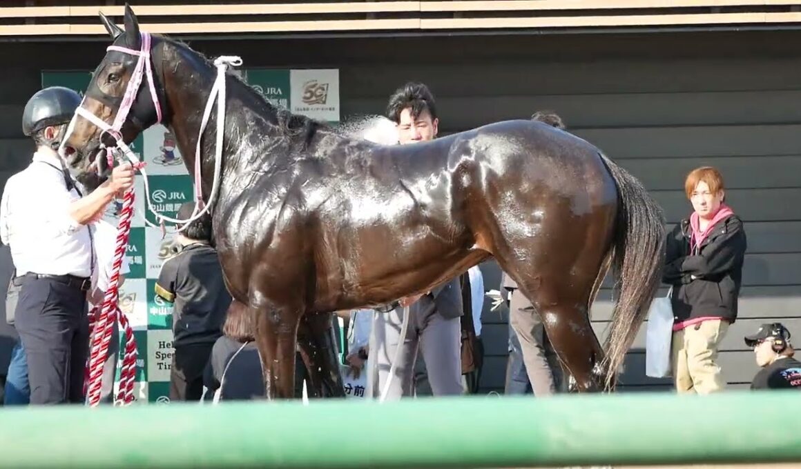 レザベーション、水をかけてもらう。　ニュージーランドT　NHKマイルカップの優先出走権をゲット。　#競馬