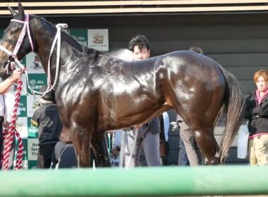 レザベーション、水をかけてもらう。　ニュージーランドT　NHKマイルカップの優先出走権をゲット。　#競馬