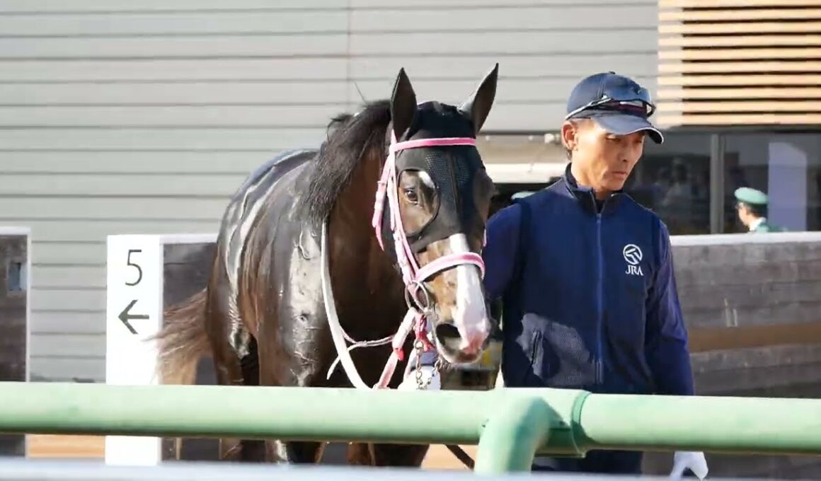 レザベーション、表彰式を待つ様子①　NHKマイルカップの優先出走権をゲット。　#競馬
