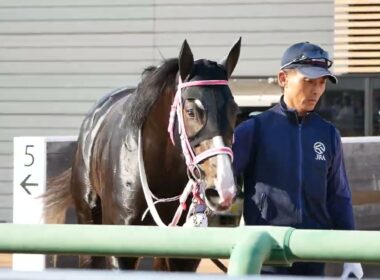 レザベーション、表彰式を待つ様子①　NHKマイルカップの優先出走権をゲット。　#競馬