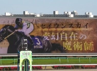 【2026年 皐月賞】発走直前の中山競馬場G1煽りVTR！