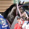 レザベーション、口取りへ向かう。　ニュージーランドT　NHKマイルカップの優先出走権をゲット。　#競馬