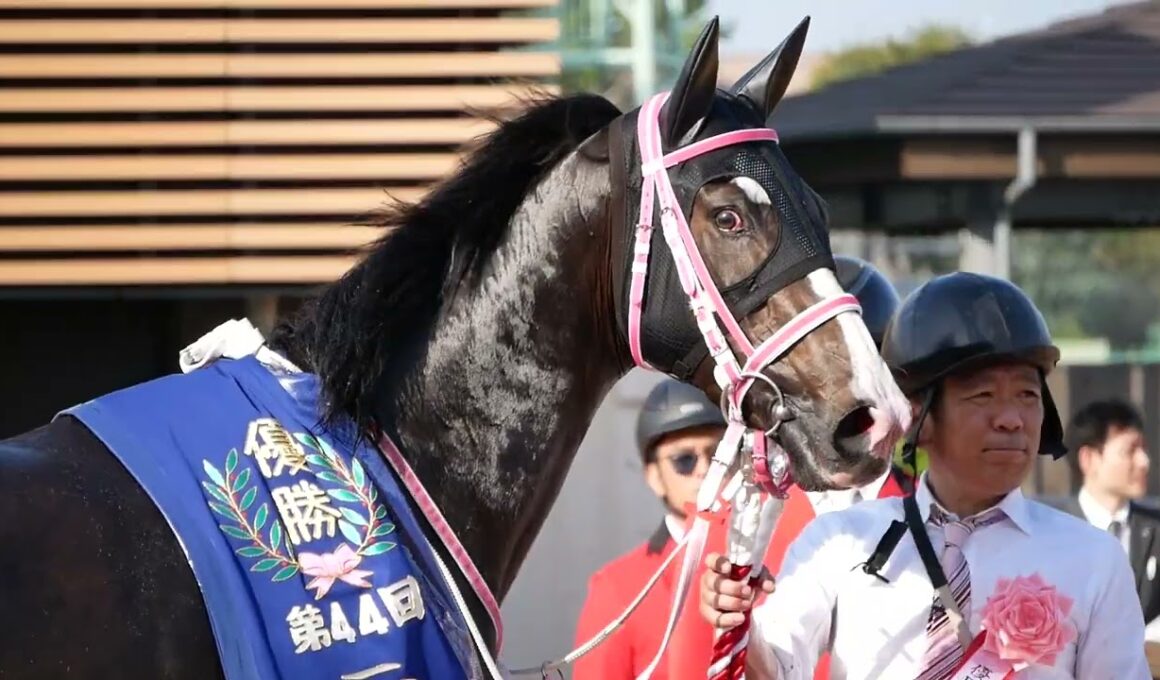 レザベーション、口取りへ向かう。　ニュージーランドT　NHKマイルカップの優先出走権をゲット。　#競馬
