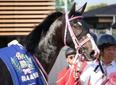レザベーション、口取りへ向かう。　ニュージーランドT　NHKマイルカップの優先出走権をゲット。　#競馬