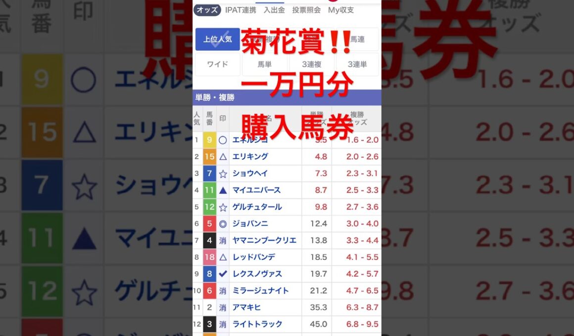 菊花賞2025 一万円勝負‼️#競馬 #競馬予想 #菊花賞 #菊花賞 2025 予想は #shorts