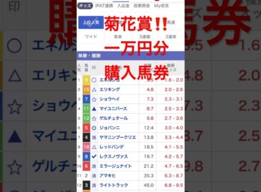菊花賞2025 一万円勝負‼️#競馬 #競馬予想 #菊花賞 #菊花賞 2025 予想は #shorts